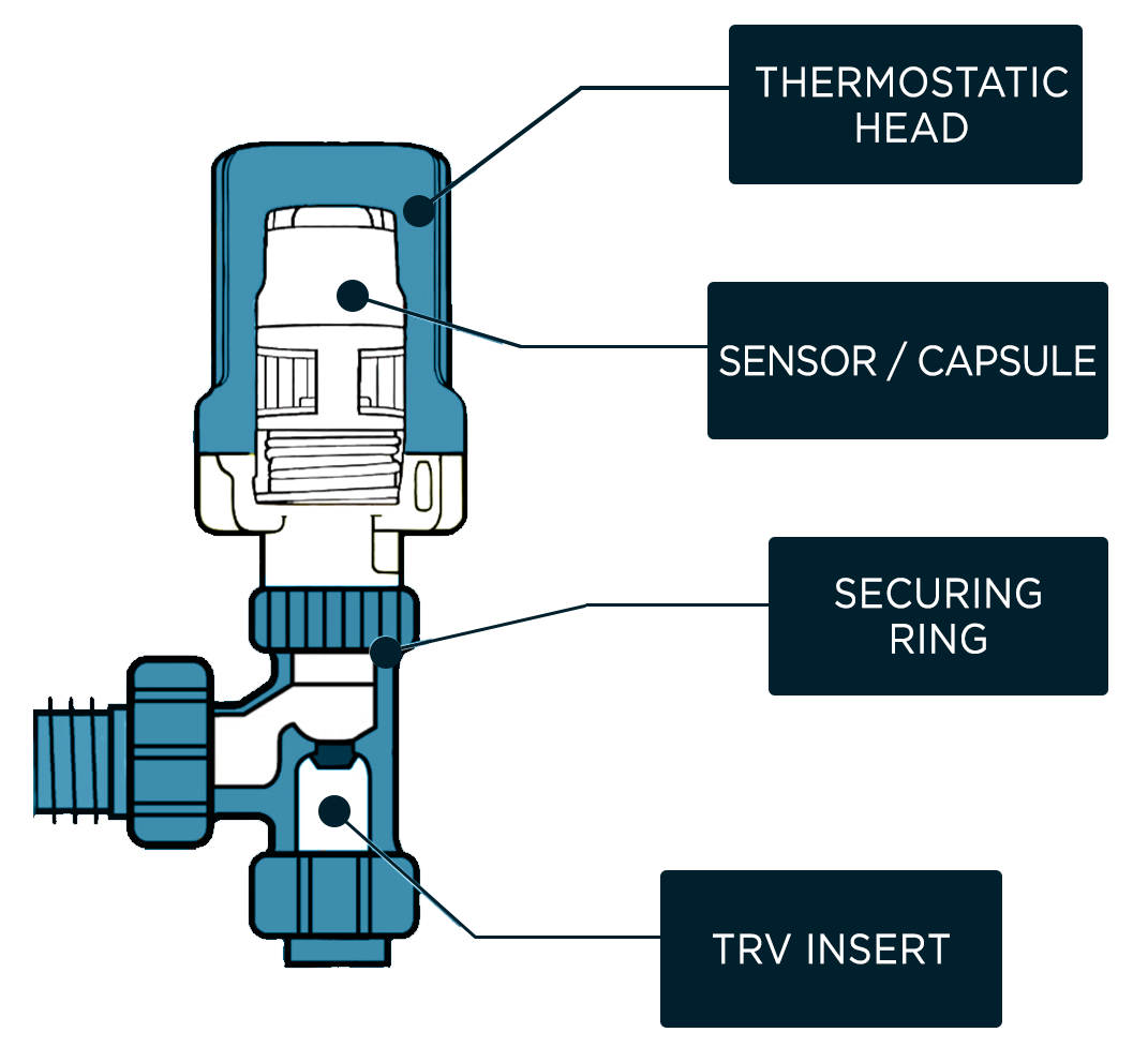 Trv Diagram